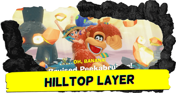 Hilltop Layer Collectibles