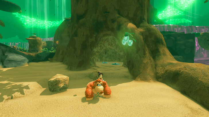 Beaver 4 Fossil Overworld Location