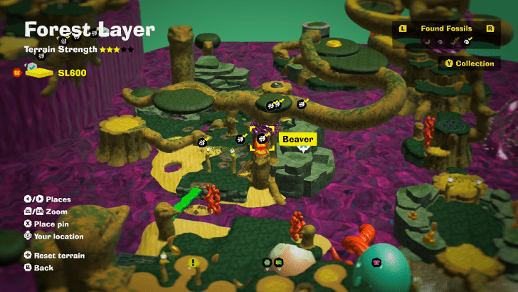 Beaver 8 Fossil Map Location