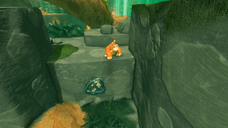 Beaver 1 Fossil Overworld Location