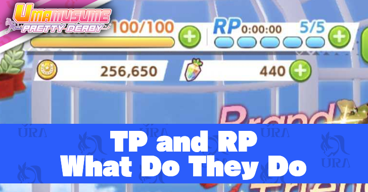TP and RP Explained How Do They Work