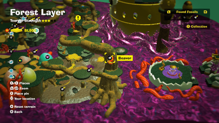 Beaver 13 Fossil Map Location