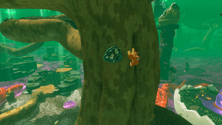 Beaver 13 Fossil Overworld Location