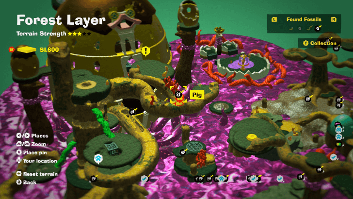 Pig 4 Fossil Map Location