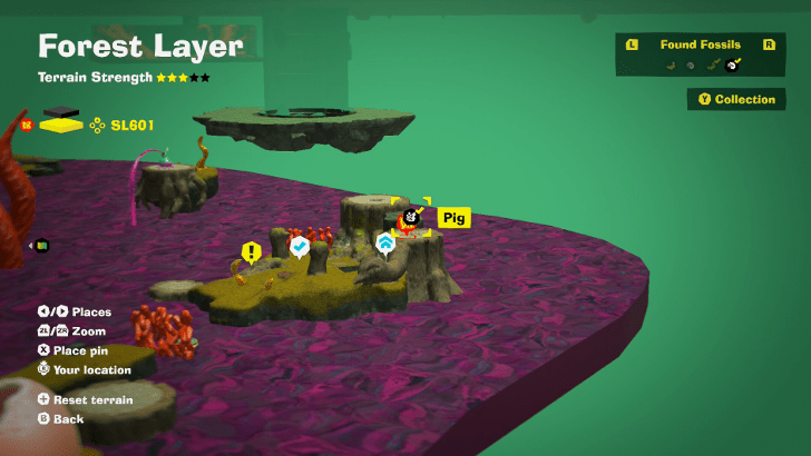 Pig 6 Fossil Map Location