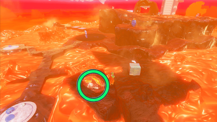 Preserved Bug 4 Fossil Overworld Location