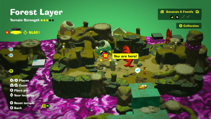 Forest Layer Challenge Course 3 Map Location