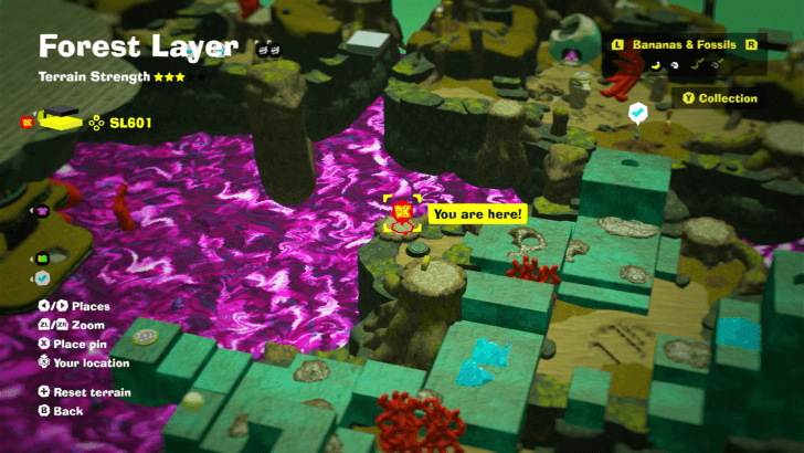 Forest Layer Battle Challenge 4 Challenge Course Ruin Map Location