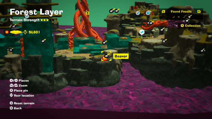 Beaver 40 Fossil Map Location