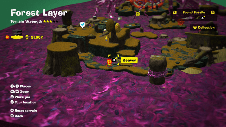 Beaver 49 Fossil Map Location