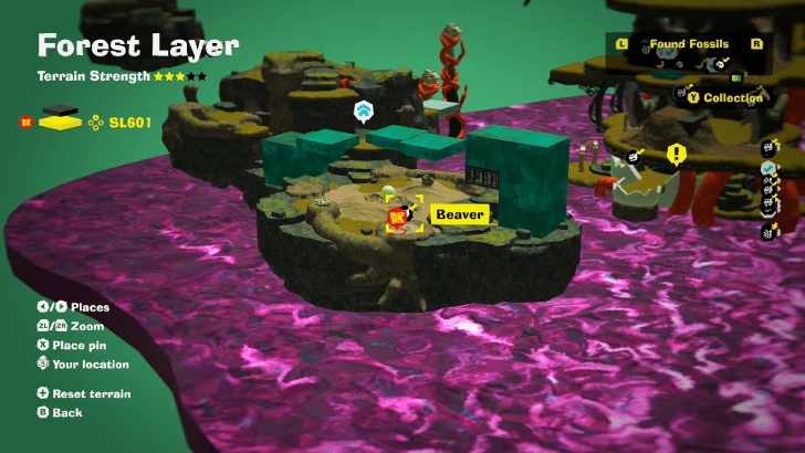 Beaver 45 Fossil Map Location