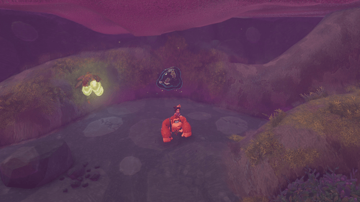 Beaver 40 Fossil Overworld Location