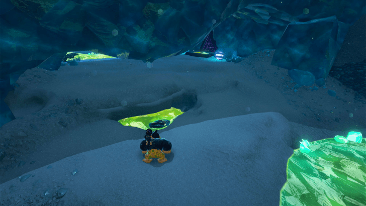 Banana Bird 9 Fossil Overworld Location