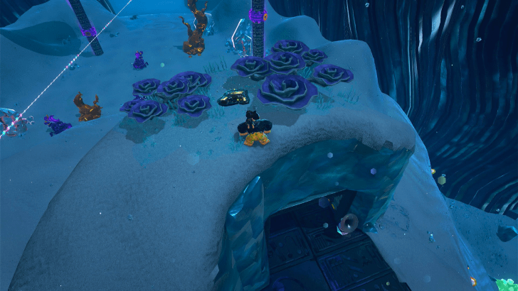 Banana Bird 21 Fossil Overworld Location