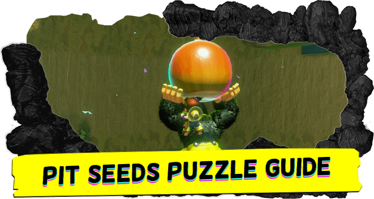 Pit Seeds Puzzle Guide