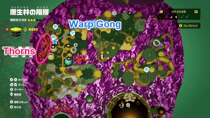 Best Torn Terrain Location Forest Layer
