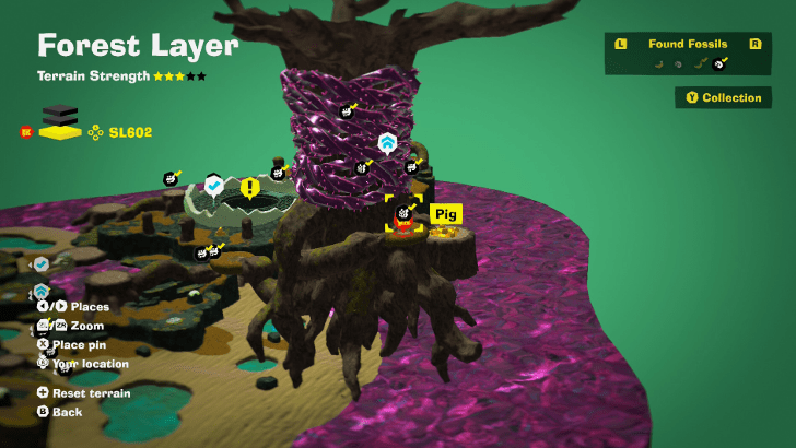 Pig 10 Fossil Map Location