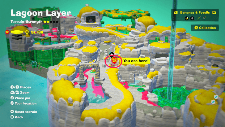 Ammonite 31 Fossil Map Location