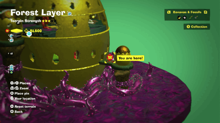 Forest Layer Challenge Course 2 Challenge Course Ruin Map Location