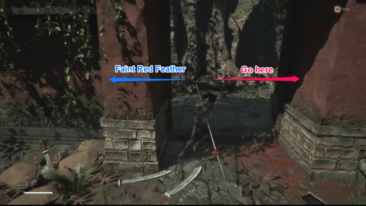 Reverent Temple Paths