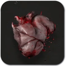 Killing Floor 3 Gray Matter