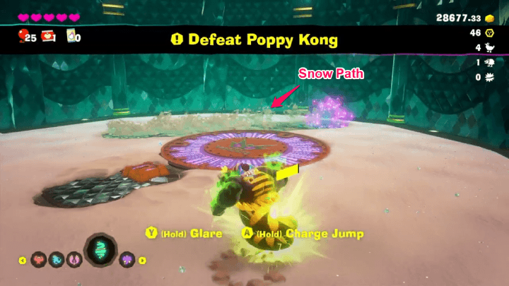 Check the Snow For Poppy Kong