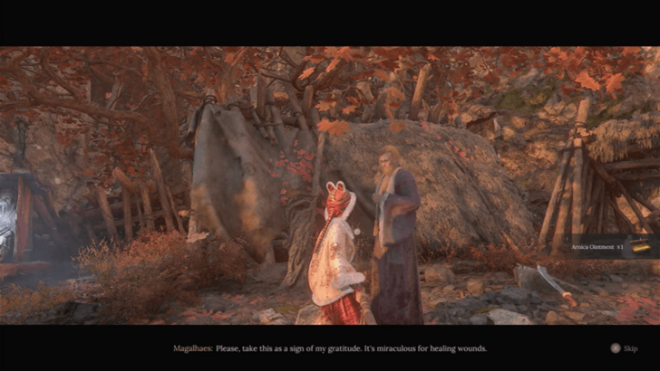 How to Get Arnica Ointment