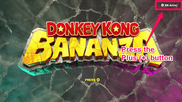 How to Access DK Artist