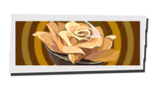 P5 Phantom X - Avatamsa Incense Image