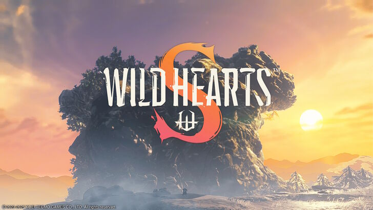 Wild Hearts S Cover