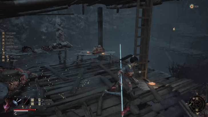 Mercury Workshop Door Ladder