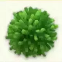 Pokemon Friends - Grassy Yarn