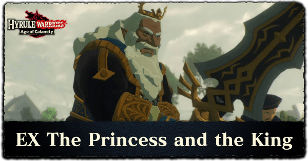 Age of Calamity DLC 2 Hyrule Warriors - EX The Princess and the King Banner