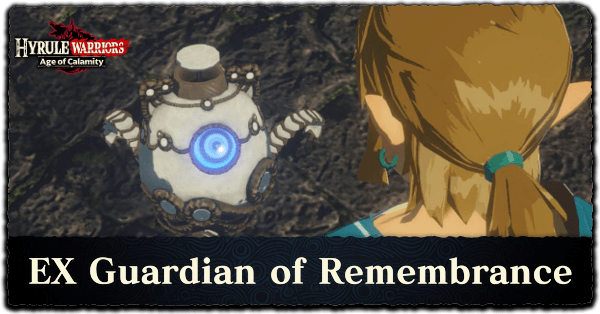 Age of Calamity DLC 2 Hyrule Warriors - EX Guardian of Remembrance Banner