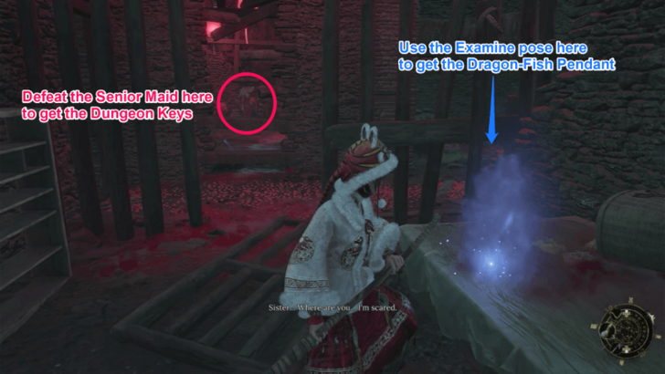 Examine Pose and Dungeon Key