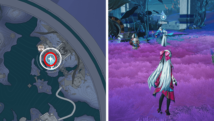 Deep Sea Survey Location 2