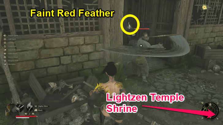 Lightzen Temple - Faint Red Feather 3