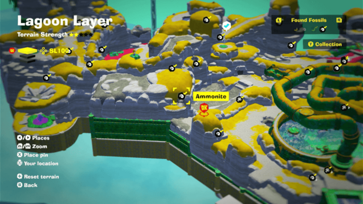 Ammonite 14 Fossil Map Location