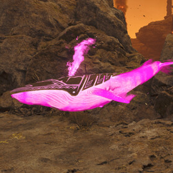 Pink Flamefete Spirit