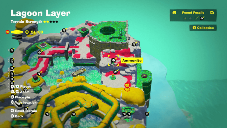 Ammonite 35 Fossil Map Location