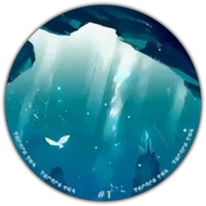 The Divide Music Disc