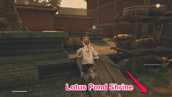 Lotus Pond - Faint Red Feather 21