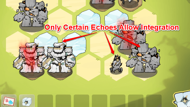 Get Echoes that Allow Integration