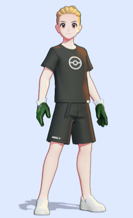 Captain Set (Gyarados, Deep Green): Accessory Preview