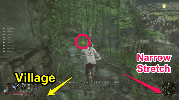 Shu Sanctum - Bamboo Shoot 2