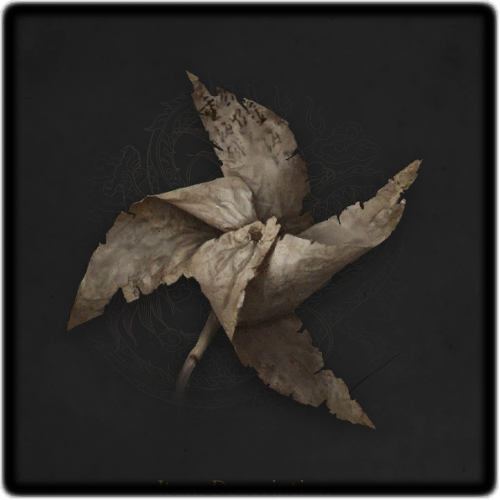 Research Journal - Scrap 2