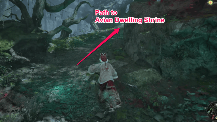 Avian Dwelling Shrine