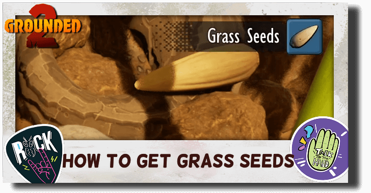 How to Get Grass Seeds