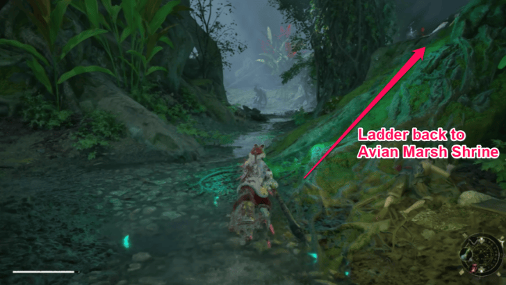 Ladder to Avian Marsh Shrine