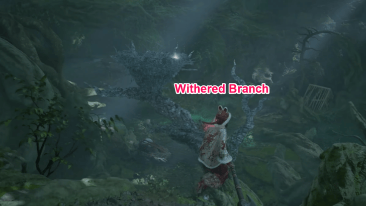 Avian Marsh Withered Branch